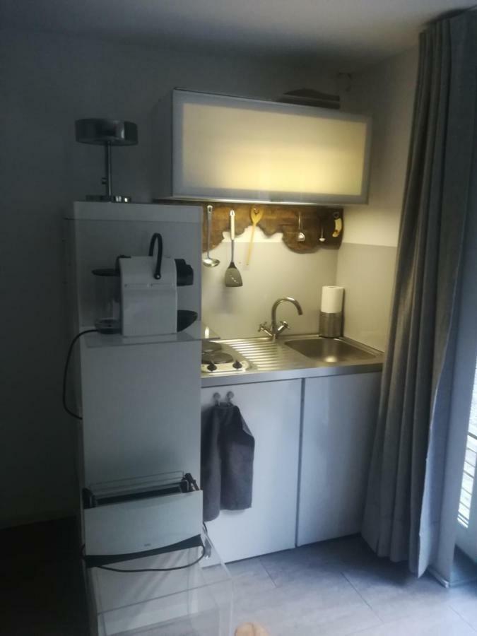 Studio Am See Apartment Sankt Gilgen Bagian luar foto